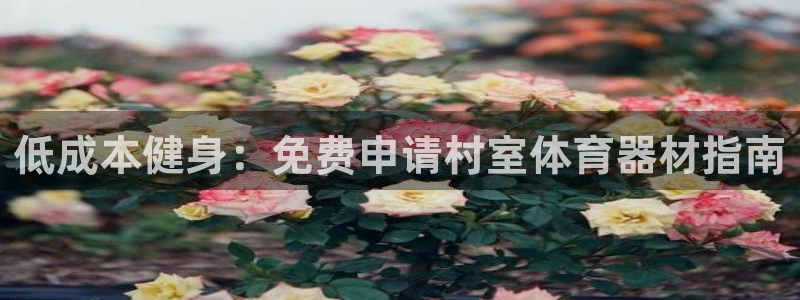 尊龙凯时人生就是博游戏网站：低成本健身：免费申请村室