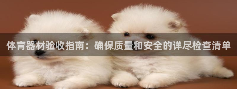 尊龙,人生就是搏：体育器材验收指南：确保质量和安全的