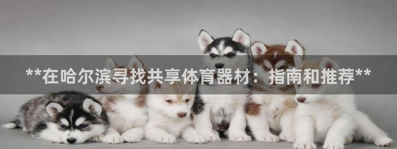 尊龙手机客户端下载：**在哈尔滨寻找共享体育器材：指