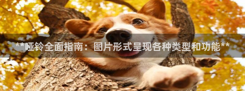 凯时网上官方网站：**哑铃全面指南：图片形式呈现各种