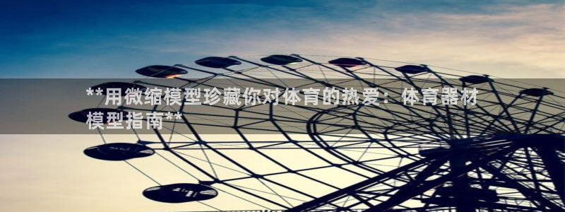 尊龙实业 吴友良：**用微缩模型珍藏你对体育的热爱：