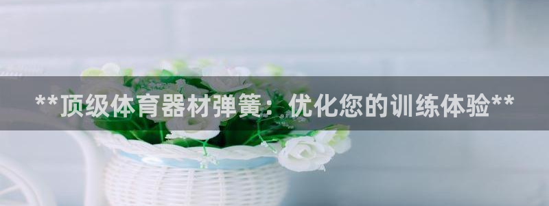 尊龙凯时app产品介绍：**顶级体育器材弹簧：优化您
