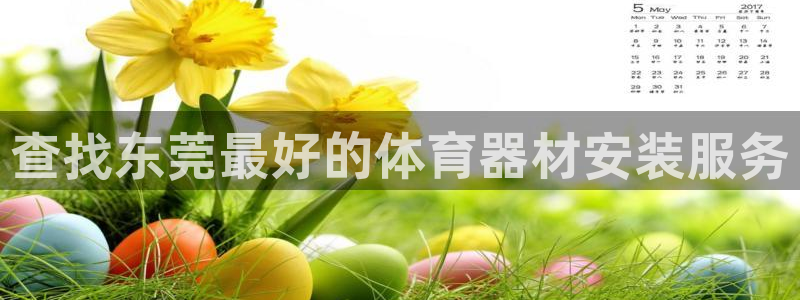 尊龙登录：查找东莞最好的体育器材安装服务
