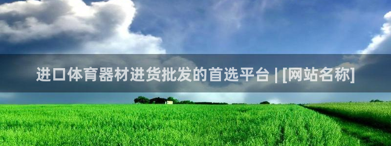 尊龙app登录不了：进口体育器材进货批发的首选平台 