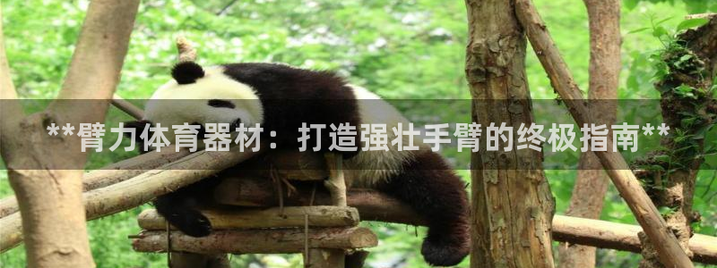 尊龙人生就是-首页(中国)有限公司：**臂力体育器材
