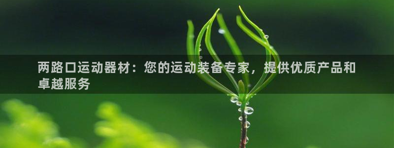 尊龙实业 吴友良：两路口运动器材：您的运动装备专家，