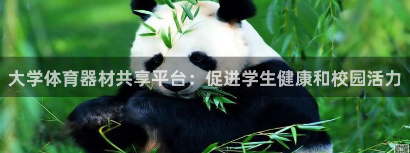 尊龙实业 吴友良：大学体育器材共享平台：促进学生健康