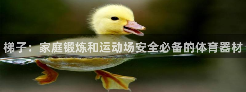 尊龙凯时的生产设备：梯子：家庭锻炼和运动场安全必备的