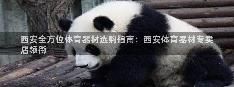 尊龙人品怎么样：西安全方位体育器材选购指南：西安体育