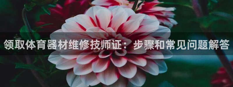 凯时AG网：领取体育器材维修技师证：步骤和常见问题解