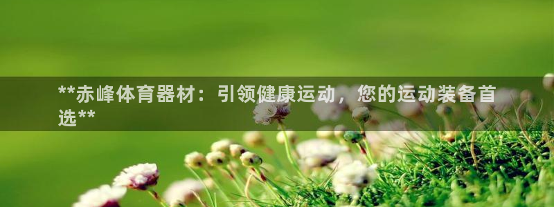 尊龙凯时游戏厅：**赤峰体育器材：引领健康运动，您的