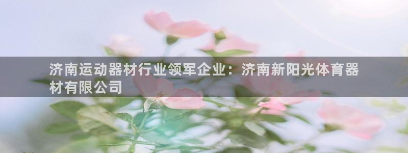 尊龙手机官方客户端下载安卓：济南运动器材行业领军企业