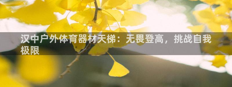 尊龙游戏官网游戏特色：汉中户外体育器材天梯：无畏登高