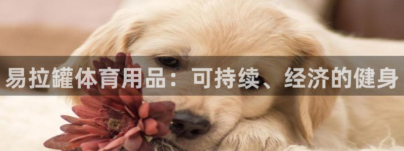 尊龙凯时注册：易拉罐体育用品：可持续、经济的健身