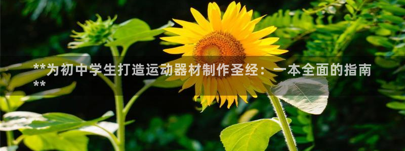 ag尊龙凯时集团：**为初中学生打造运动器材制作圣经