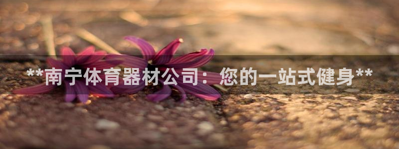 尊龙版末代皇帝：**南宁体育器材公司：您的一站式健身