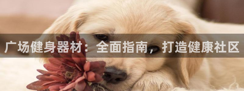 尊龙集团有限公司官网：广场健身器材：全面指南，打造健