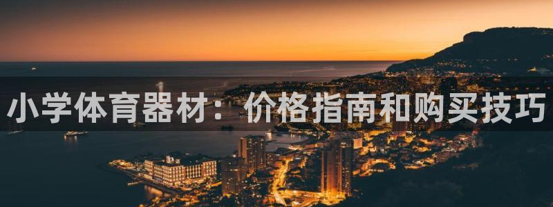 尊龙t600：小学体育器材：价格指南和购买技巧