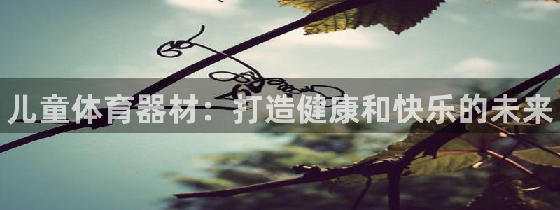 尊龙凯时怎么样没听说过：儿童体育器材：打造健康和快乐