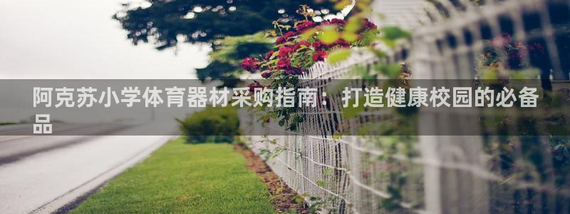 尊龙一生也走不出自己的童年：阿克苏小学体育器材采购指