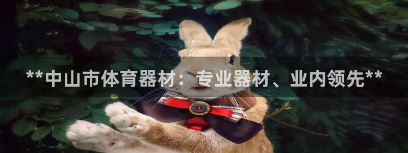 凯时首页地址：**中山市体育器材：专业器材、业内领先