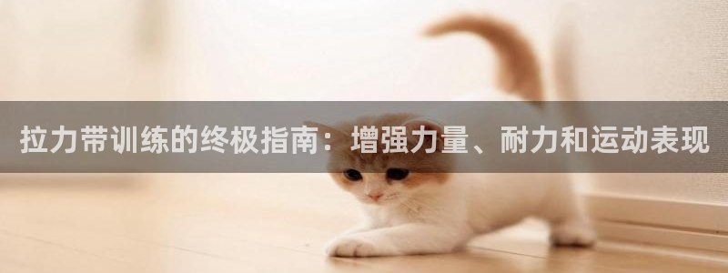 首页尊龙d88国际：拉力带训练的终极指南：增强力量、