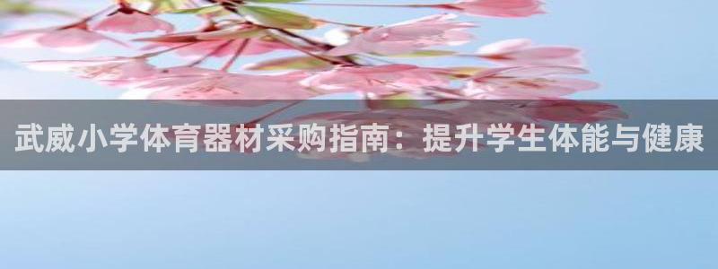 尊龙手机客户端下载：武威小学体育器材采购指南：提升学