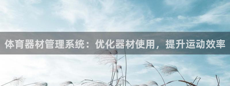 尊龙新版登录网址下载：体育器材管理系统：优化器材使用