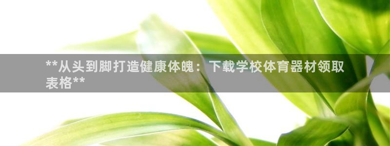 尊龙官网手：**从头到脚打造健康体魄：下载学校体育器
