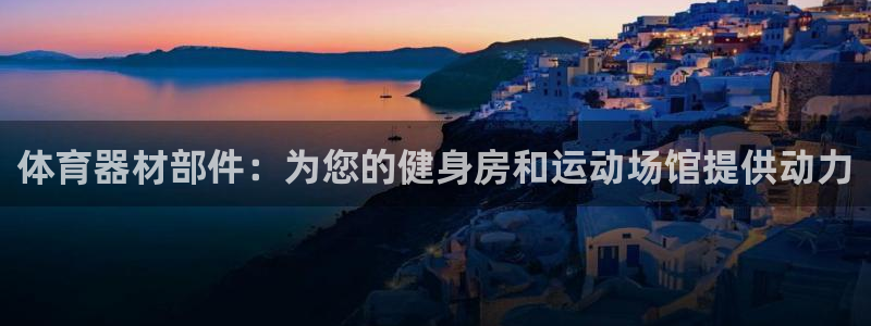 尊龙凯时平台信誉怎样：体育器材部件：为您的健身房和运