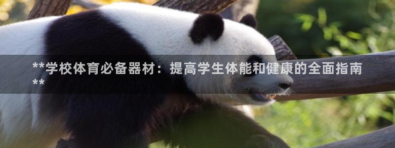 尊龙平台登录：**学校体育必备器材：提高学生体能和健