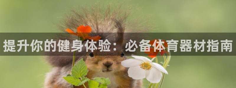 尊龙ag旗舰官网：提升你的健身体验：必备体育器材指南