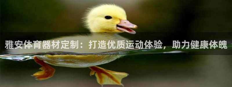 尊龙网站手机下载：雅安体育器材定制：打造优质运动体验