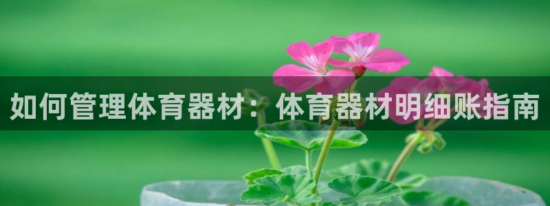 凯时登录界面：如何管理体育器材：体育器材明细账指南