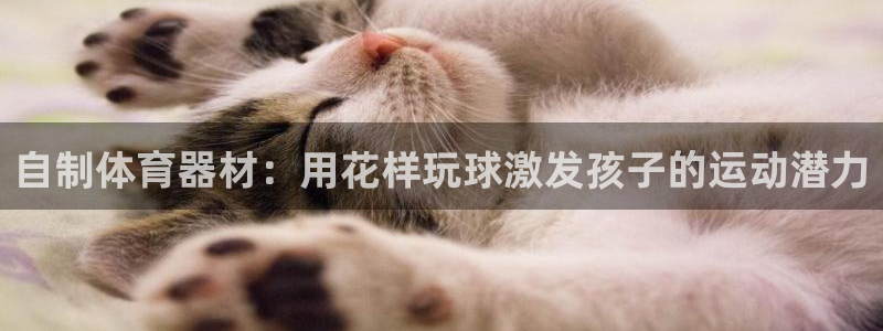 凯时K66最新版本下载：自制体育器材：用花样玩球激发