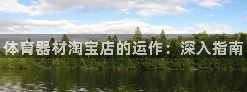 尊龙凯时d5138：体育器材淘宝店的运作：深入指南