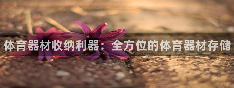 尊龙是什么软件：体育器材收纳利器：全方位的体育器材存