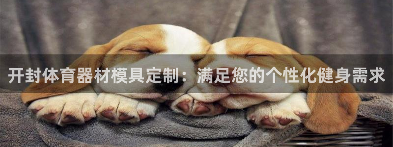 尊龙凯时ag旗舰厅登陆：开封体育器材模具定制：满足您