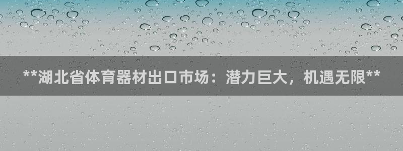 z6尊龙凯时ag旗舰厅：**湖北省体育器材出口市场：