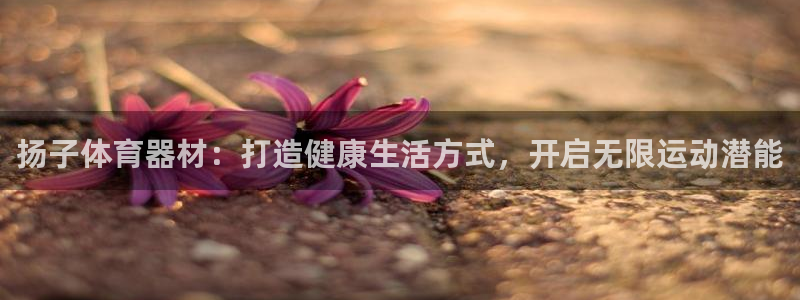 尊龙凯时和九游会哪个平台好一点：扬子体育器材：打造健