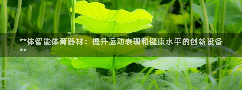 z6尊龙凯时旗舰厅首页：**体智能体育器材：提升运动