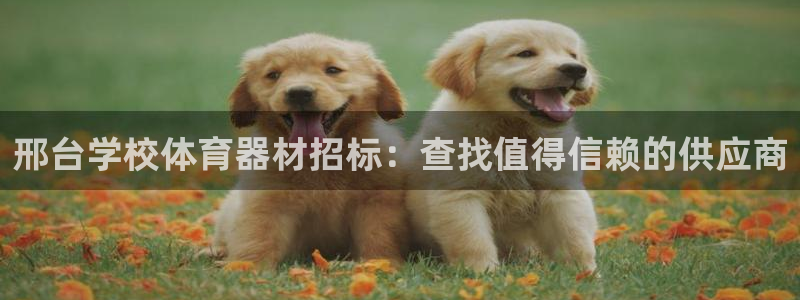 尊龙官方平台：邢台学校体育器材招标：查找值得信赖的供