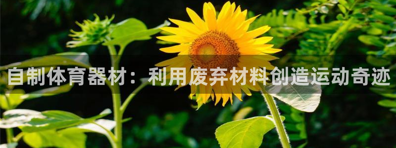 尊龙网站下分慢：自制体育器材：利用废弃材料创造运动奇