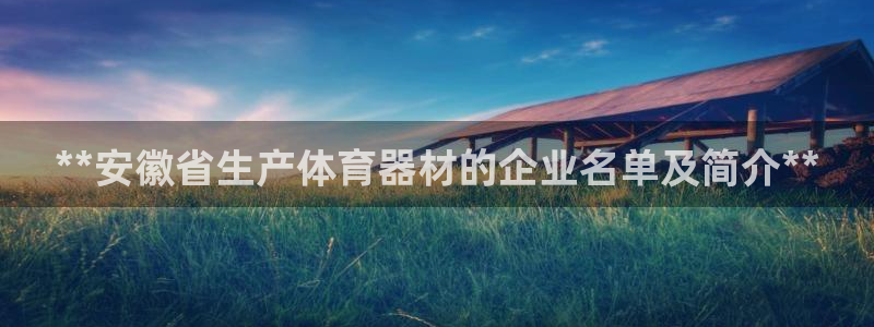 尊龙凯时有假么：**安徽省生产体育器材的企业名单及简