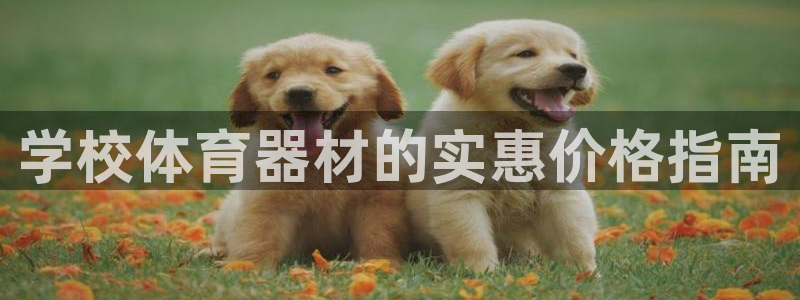 尊龙凯时集团：学校体育器材的实惠价格指南