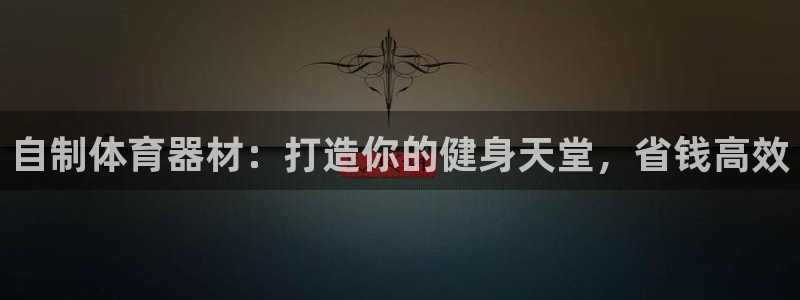 尊龙凯时网站不让提款：自制体育器材：打造你的健身天堂