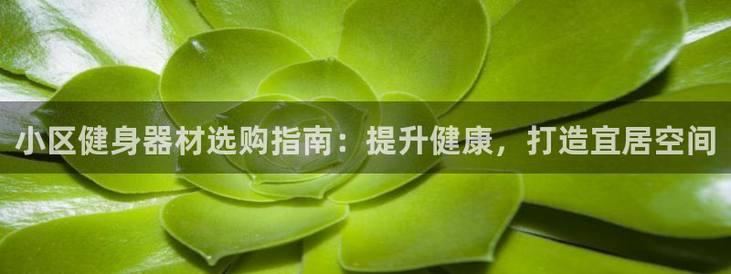 尊龙凯时app产品介绍：小区健身器材选购指南：提升健