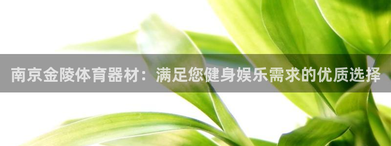 z6尊龙凯时：南京金陵体育器材：满足您健身娱乐需求的