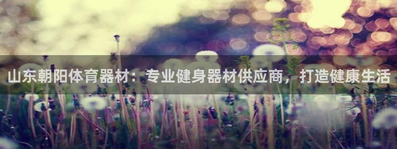 尊龙网站下分慢：山东朝阳体育器材：专业健身器材供应商