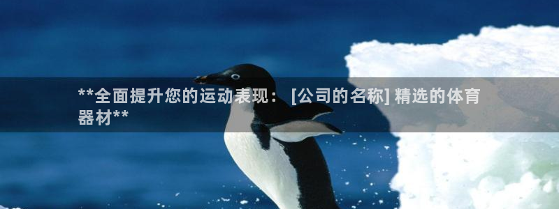 d88尊龙z6：**全面提升您的运动表现： [公司的